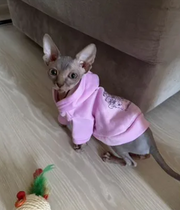 Sphinx
