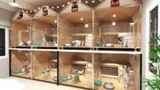 5 stars Room