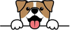 icon_policy